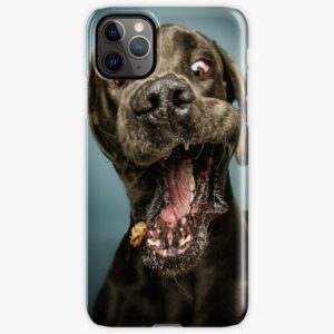 Mobilskal iPhone Samsung - Rolig hund