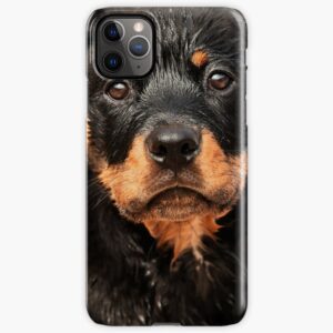 Mobilskal iPhone Samsung - rottweiler valp