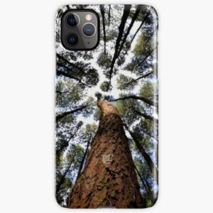 Mobilskal iPhone Samsung - Pine forests